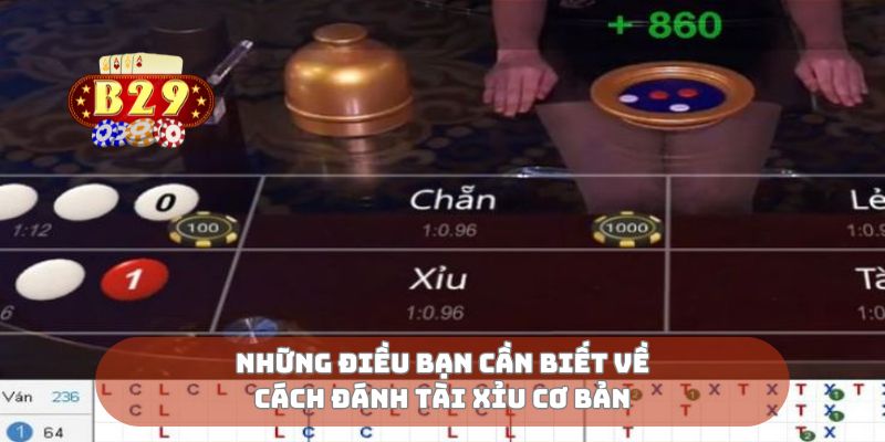 Những điều bạn cần biết về cách đánh tài xỉu cơ bản