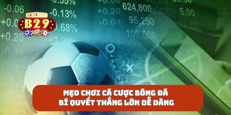 Mẹo Chơi Cá Cược Bóng Đá Bí Quyết Thắng Lớn Dễ Dàng
