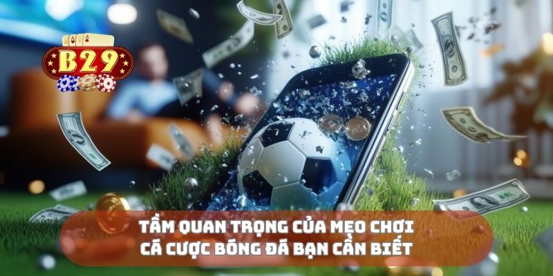 Tầm quan trọng của mẹo chơi cá cược bóng đá bạn cần biết